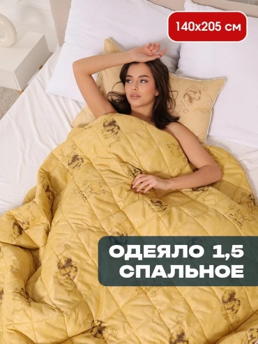 Одеяло ПЭ15-150/ВШ 240084355 140x205 всесезонное