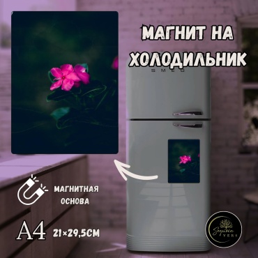 Sequoia VERS магнит-сувенир Дыхание природы. природа, леса. А4 1 шт
