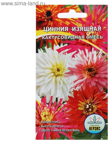 Агрэкс цинния кактусовидная