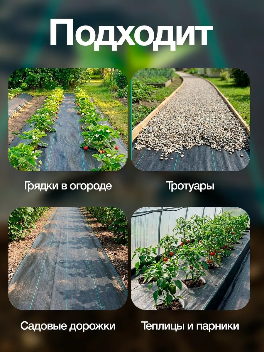 Фото 6