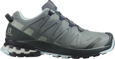 Кроссовки Salomon Xa pro 3d v8 gtx серый