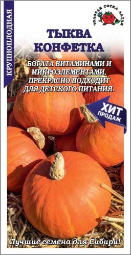 Золотая сотка Алтая тыква Конфетка