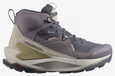 Ботинки Salomon фиолетовый
