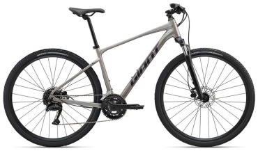 Велосипед Giant ROAM 3 2025 21 дюйм бежевый