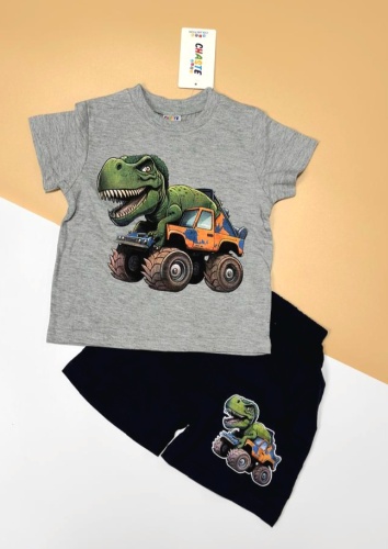Комплект CHASTE kids серый