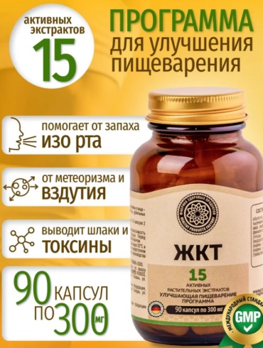 Фабрика Здоровых Продуктов ЖКТ капсулы 90 шт