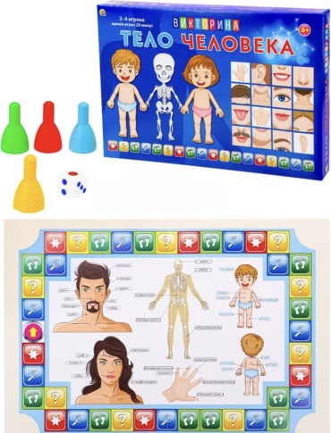 Настольная игра РЫЖИЙ КОТ Тело человека