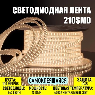 Светодиодная лента Prosvet дневной 100 м