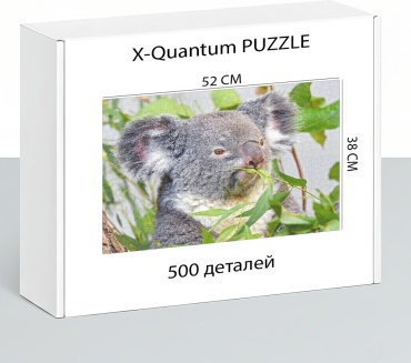 X-Quantum puzzle_ou1y1pi1jo классический 500 деталей