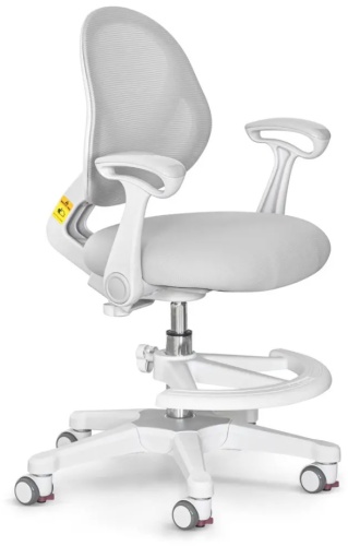 Детское компьютерное кресло Ergokids Mio Air Y-400 G, серый