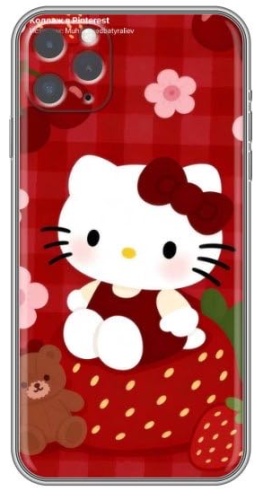 Чехол для Apple iPhone 11 Pro рисунок