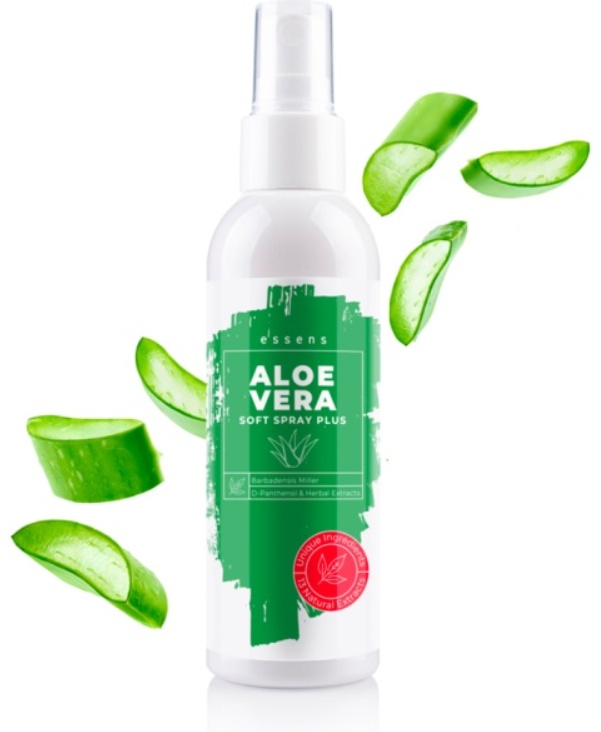 aloe vera schildkröten Aloe vera | Sukkulente