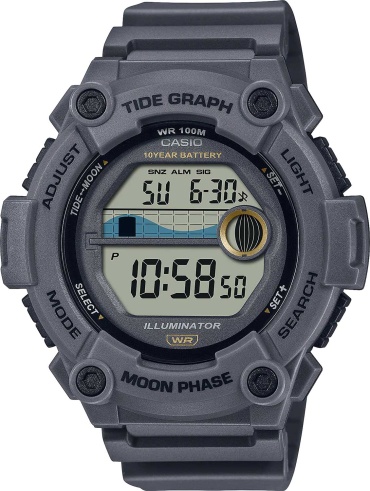 Кварцевые CASIO WS-1300H-8AVDF пластик
