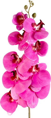 Фото 2