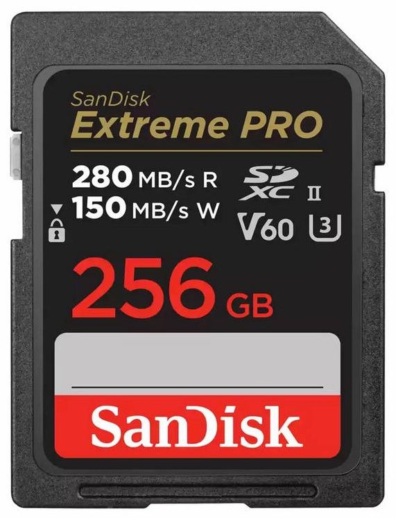 Карта памяти SanDisk Secure Digital XC SDSDXEP-256G-GN4IN 256 Гб