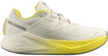 Кроссовки Salomon Aero Glide 3 бежевый