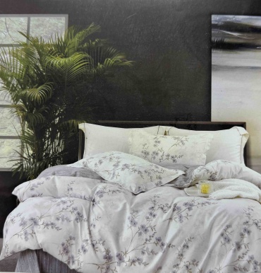 Комплект Витас Novera home семейный хлопок, 2 наволочки: 55x85 см