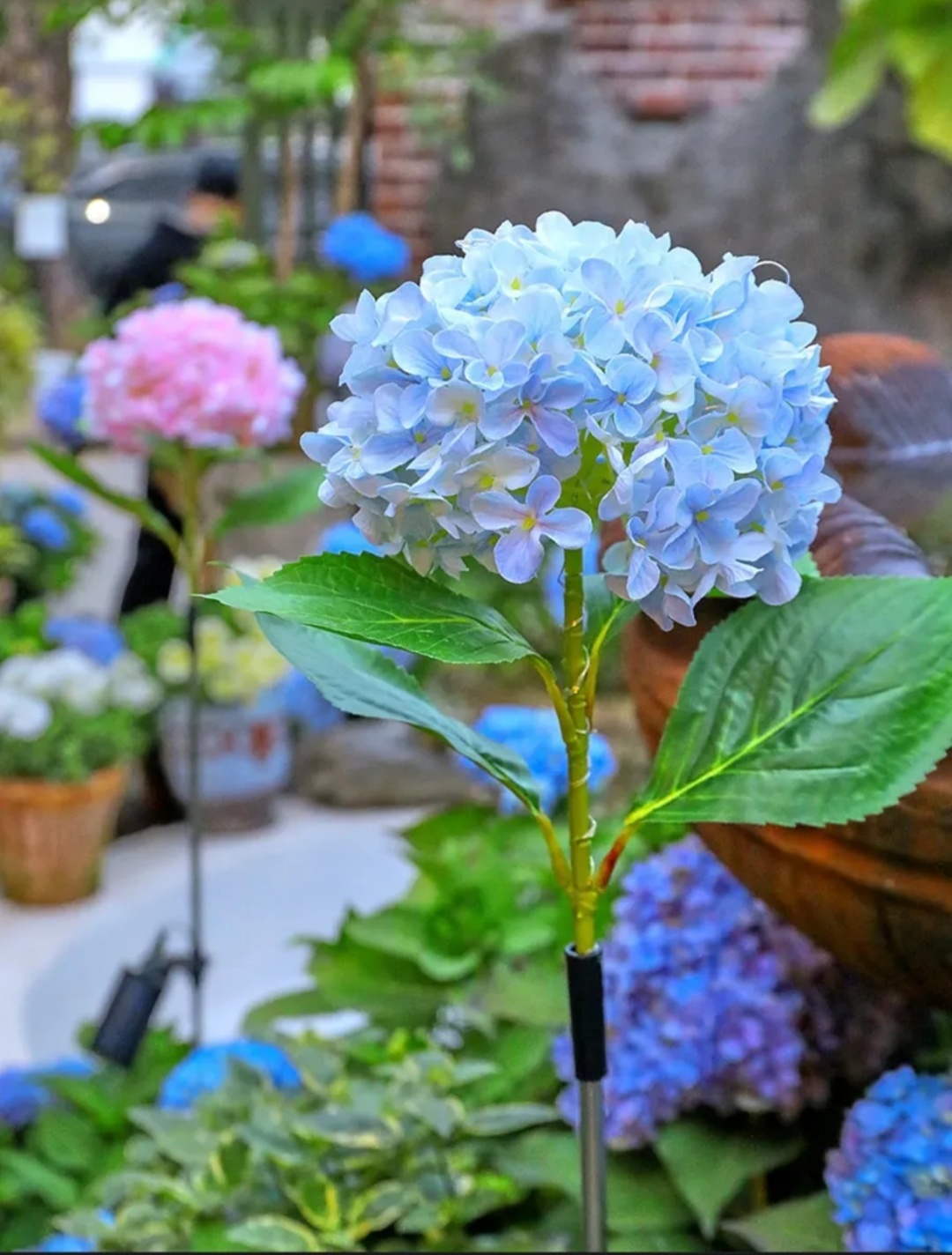 Фото 3