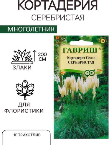 Гавриш кортадерия «Пампасная трава»