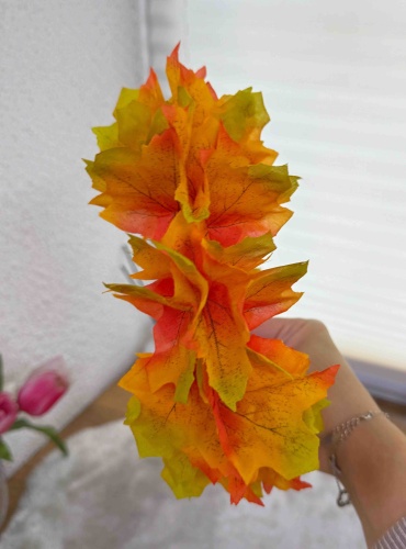 Фото 3