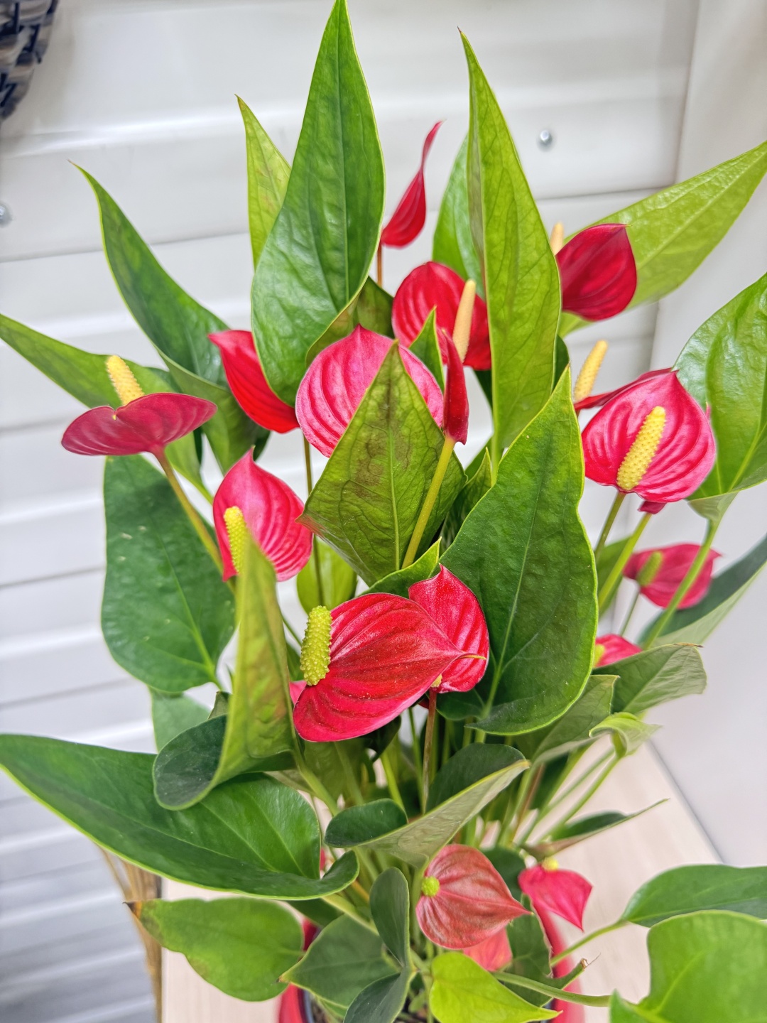 Фото 2