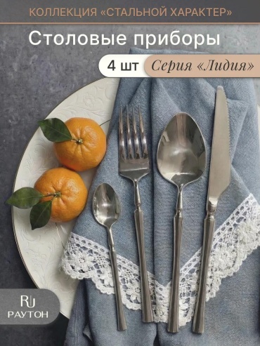 Набор столовых приборов 4 шт, серебристый RSH2603LI24MIX