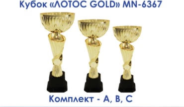 Мир наград кубок