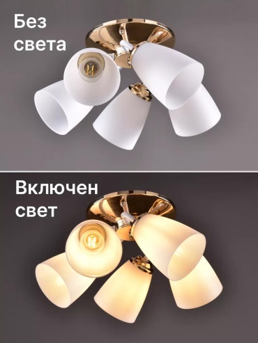 Фото 4