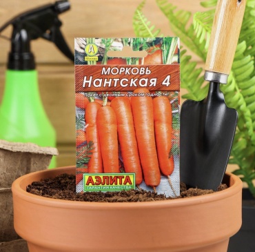Аэлита морковь НАНТСКАЯ 4