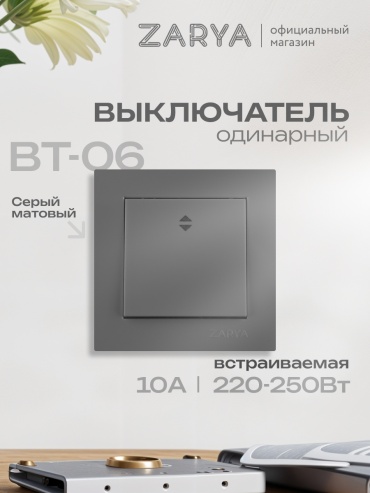 Выключатель клавишный Заря ВТ-06 УТР-1004837, серый