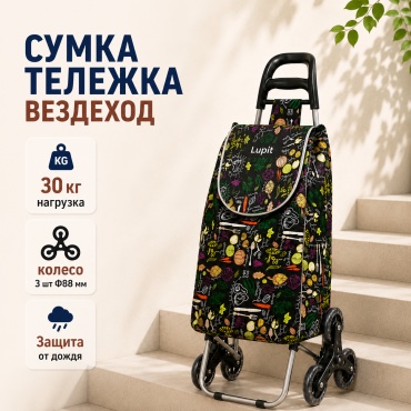 Сумка LUPIT оксфорд хамелеон 50 л