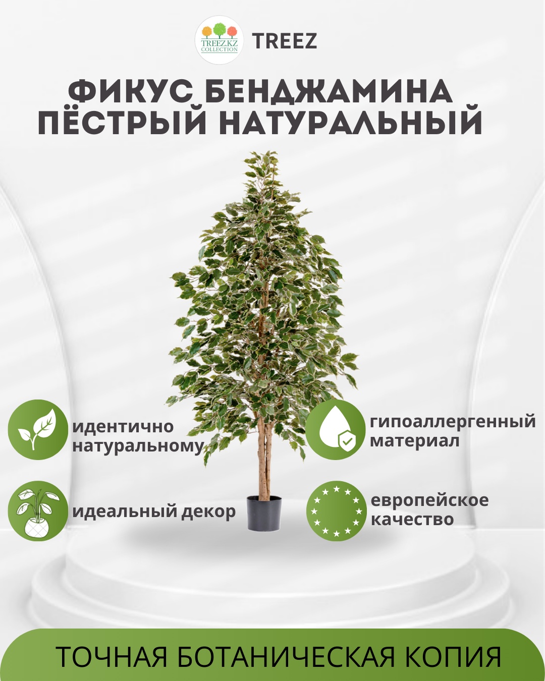 Дерево Treez фикус 150 см, 10.32305NG