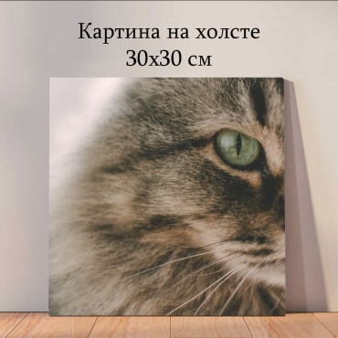 Quantum картина животные_1ru 30x30 см