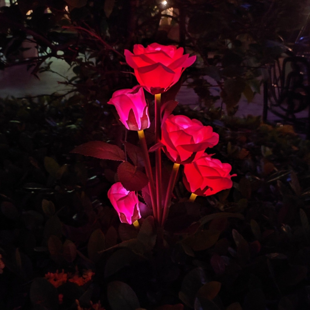 Фото 2