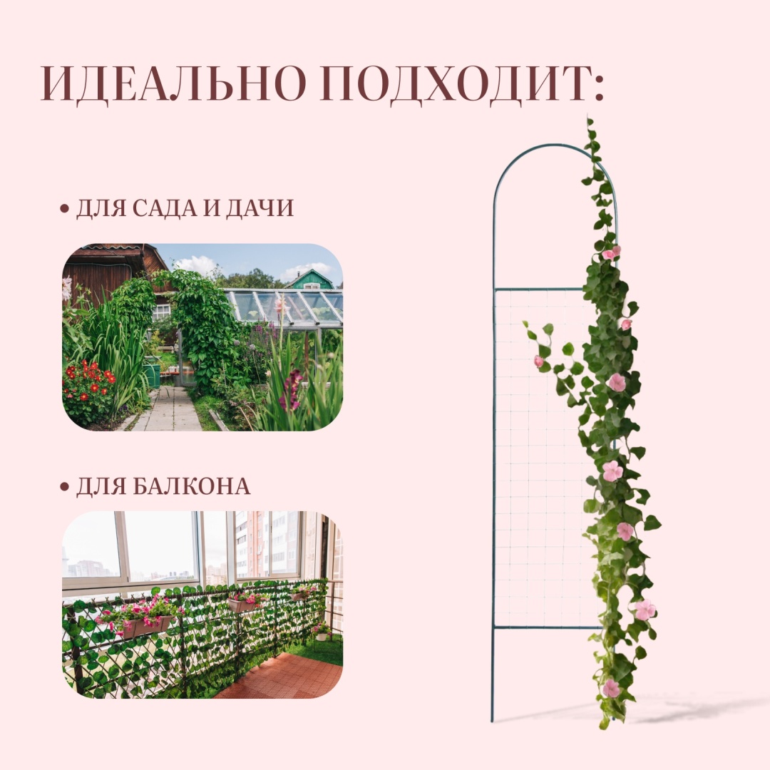 Фото 3