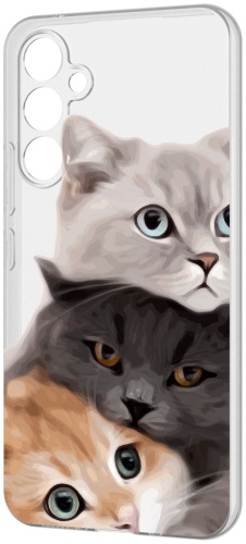 Чехол для Samsung Galaxy A55 рисунок