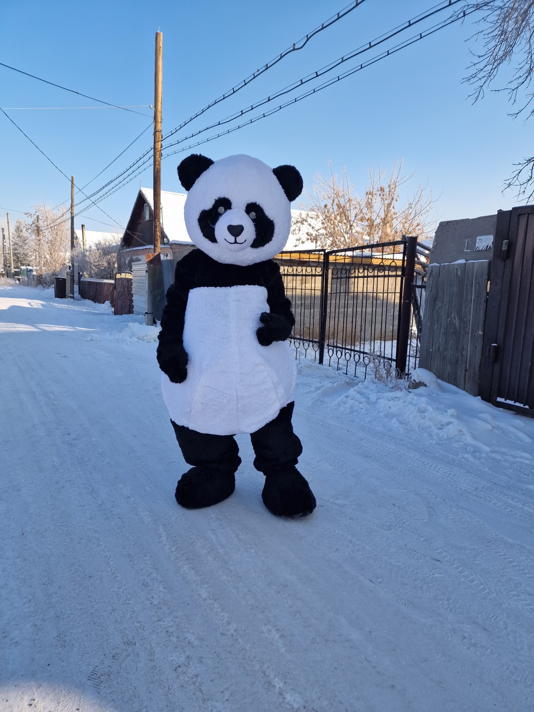 Карнавальный костюм Event Mascot Ростовая кукла Панда  мультиколор