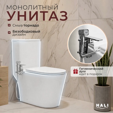 Унитаз-моноблок HALI 1