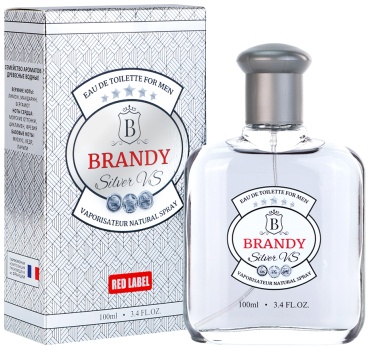 DELTA PARFUM Brandy Silver VS туалетная вода EDT 100 мл, для мужчин