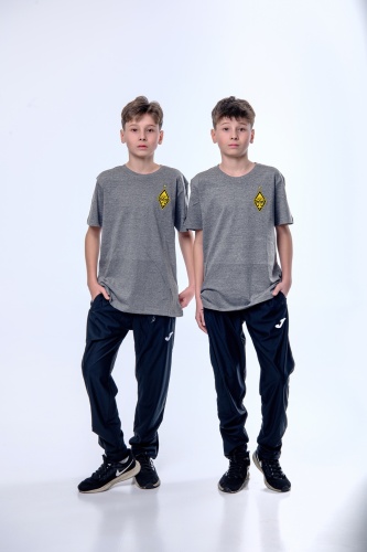 Футболка JOMA серый