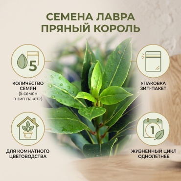 Лавр Лавр Пряный Король