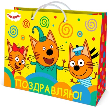 Подарочный пакет ND Play 1 шт картон 30х40 см