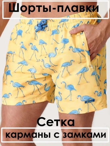 Спортивные шорты Howin синий