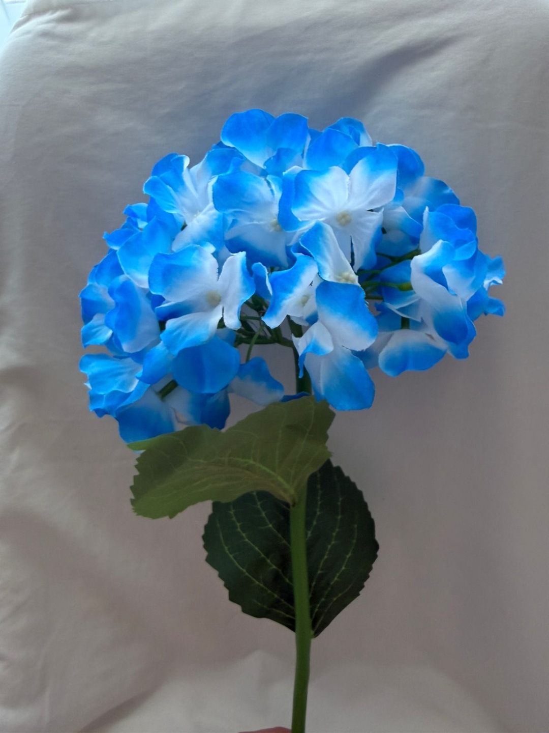 Фото 2