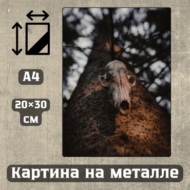 Sequoia VERS картина Картина на металле а4 Дыхание природы 20*30см 20x30 см