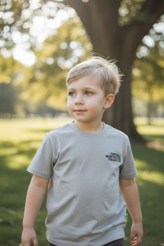Футболка Kids Moda серый