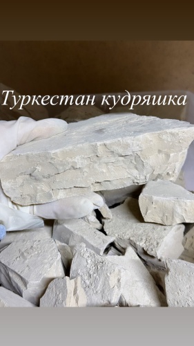 Туркестан кудряшка 1000 г