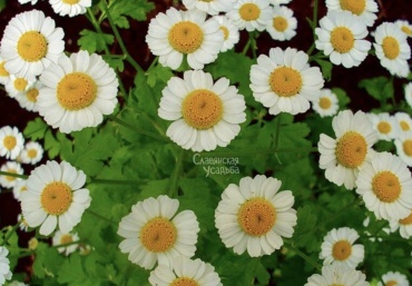 Фото 3