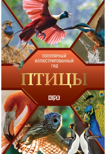 Папуниди Е. А., Спектор А. А.: Птицы. Иллюстрированный гид