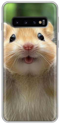 Чехол BAIKO для Samsung Galaxy S10 рисунок